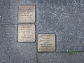 Stolpersteine (brass plates on concrete to commemorate the Jewish victims of the Holocaust) in front of the domicile of Julius Wolff and his family, Stadhouderslaan 51, Utrecht, 2019