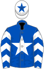 Royal blue, white star, chevrons on sleeves, white cap, royal blue star