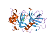 1xk5: Crystal structure of the m3G-cap-binding domain of snurportin1 in complex with a m3GpppG-cap dinucleotide