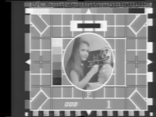 Visual raster of a decoded signal frame extract from a vhs tape, showing the vertical blanking area with white contrasting signal data teletxt.