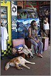 Outside the former Nimbin Museum