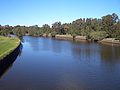 Cooks River, between Marrickville and Earlwood