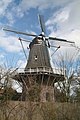 Windmill De Pionier