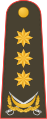 General-polkovnik (Azerbaijani Land Forces)[7]