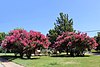 Gatewood West Historic District