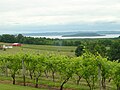 View from Old Mission Peninsula of Marion Island in the West Arm of Grand Traverse Bay