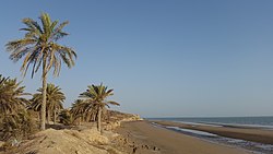 Persian Gulf coastline at Emam Hasan