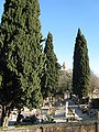 Cemetery and Church
