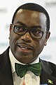 African Development Bank Akinwumi Adesina, President