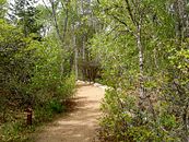 Nature Center