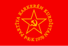 庫爾德工人黨的老黨旗