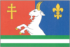 Flag of Kozlovice