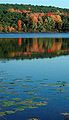 Fall Colors Reflecting on the Lake