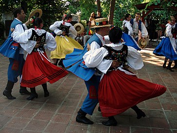 土耳其波兰裔的民俗舞蹈