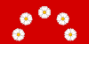 Flag of Nová Pláň