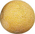 加利亚甜瓜（英语：Galia melon）