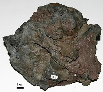 Sample of the basalt