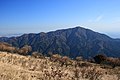 From the west (from Mt. Sannoto, Tanzawa Mountains)