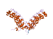 2f8y: Crystal structure of human Notch1 ankyrin repeats to 1.55A resolution.