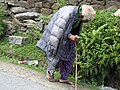 People and social life in Barot – an old Himachali woman on the way to her home near Barot