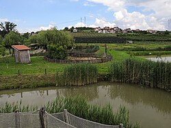 Part of the experimental farm with the settlement behind it