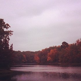 Lake view with fall foliage