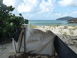 Turtle nesting site, Mandahl Bay