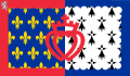 卢瓦尔河地区旗帜