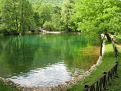 Vrelo Bosne summer 2010