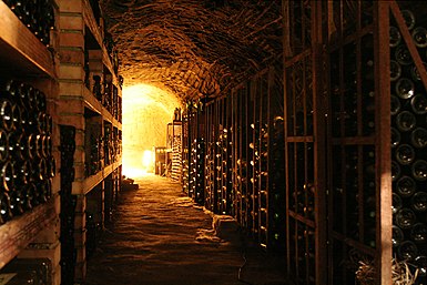 A wine cellar in Chvalovice in the Czech Republic