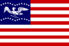 弗里蒙特市旗帜
