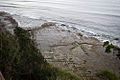 Tessellated Pavement, Tasmania