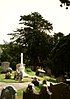 Yew Tree at All Saints church, Ulcombe