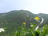 ニセイカウシュッペ山（日语：ニセイカウシュッペ山）