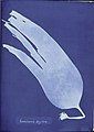 2007年9月16日 (日) 02:49版本的缩略图