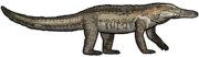 Epoidesuchus tavaresae