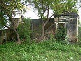 A room within the Temple premises destroyed by trees and plants