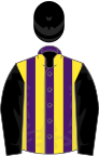 Purple and yellow stripes, black sleeves and cap
