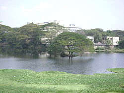 Chetpet Lake