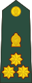 Brigadier (Sri Lanka Army)[24]