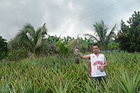 At Bantyan, Pualas