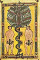 Adam and Eve in an illuminated manuscript (c. 950)