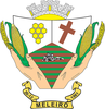 Official seal of Meleiro