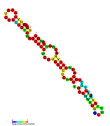 drz-Agam-1-1: Self-cleaving ribozyme found in Anopheles gambiae