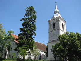 Reformed church in Leț