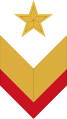 1935年式袖章