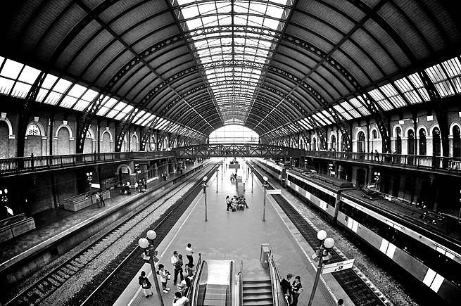 巴西圣保罗卢兹车站的黑白照片。