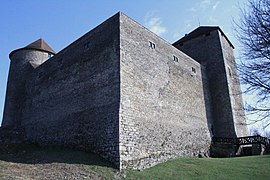 莱萨利姆城堡（法语：Château des Allymes）
