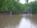 1911 C.W. Parker Carousel under water