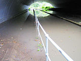 Devlin's Creek, in flood under the M2, looking to Sutherland Rd.